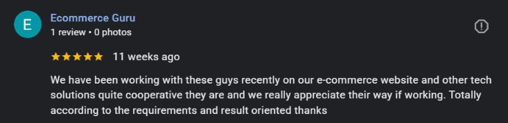 Google review for Vexosoft from Ecommerce Guru
